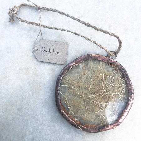 Dandelion