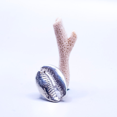 Shell Ring
