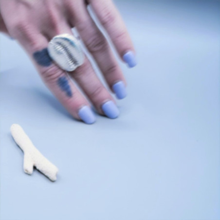 Shell Ring