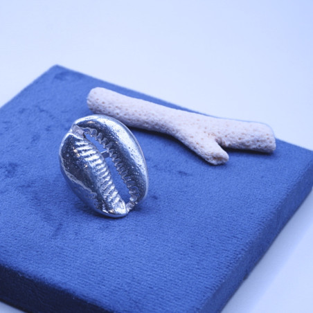 Shell Ring