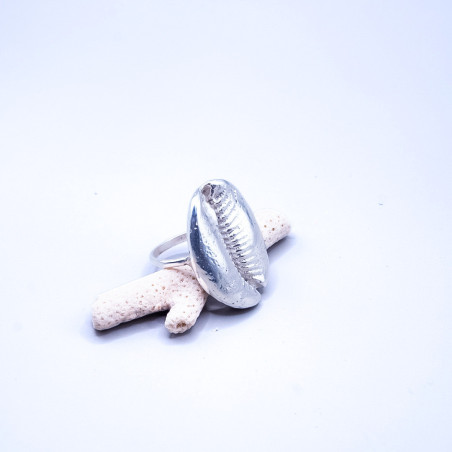 Shell Ring